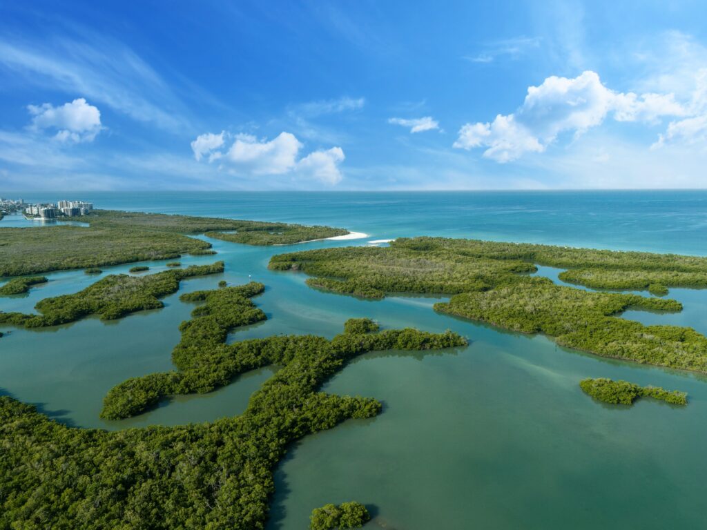 Arial view of mangroves in Naples, Florida