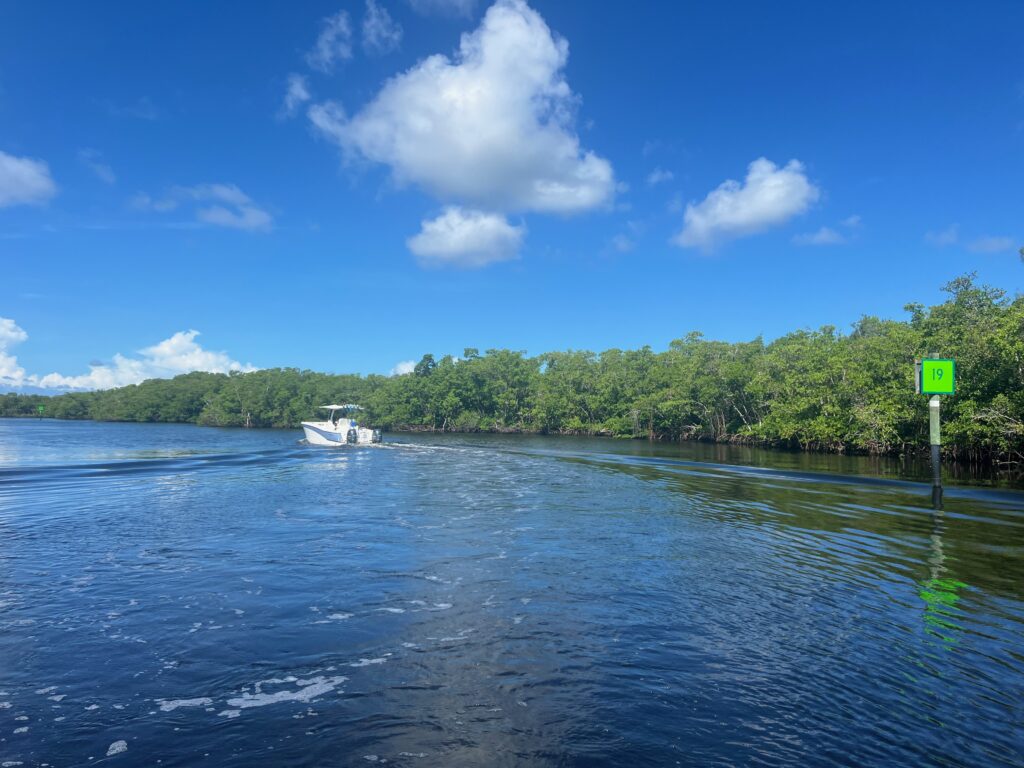 mangroves in Naples Florida